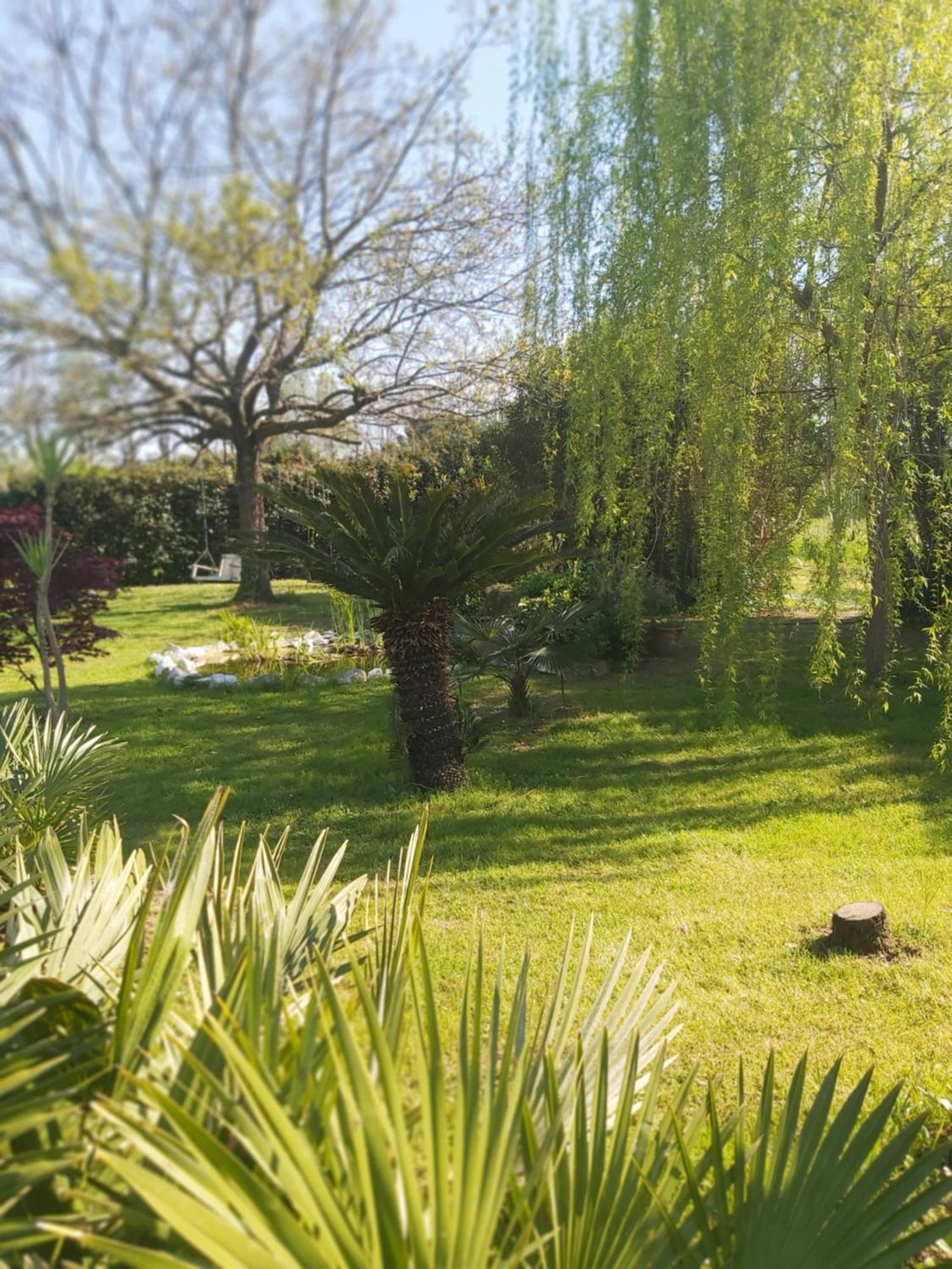 Villa Fioccomare Camaiore Exteriör bild